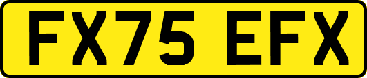 FX75EFX