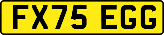 FX75EGG