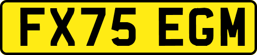 FX75EGM