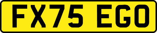 FX75EGO