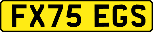FX75EGS