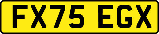 FX75EGX
