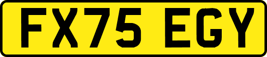 FX75EGY