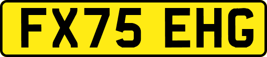 FX75EHG