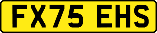 FX75EHS