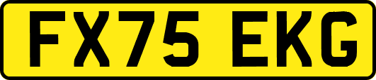 FX75EKG