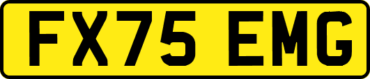 FX75EMG