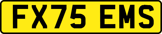 FX75EMS
