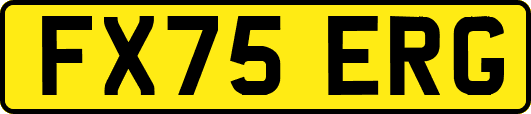 FX75ERG