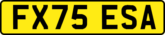 FX75ESA