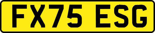 FX75ESG