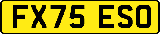 FX75ESO