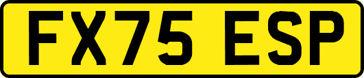 FX75ESP