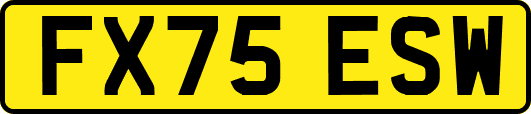 FX75ESW