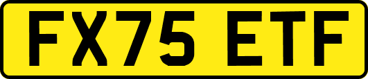 FX75ETF