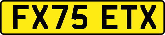 FX75ETX