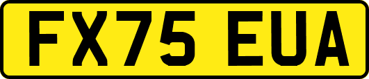 FX75EUA
