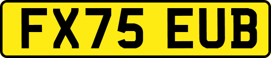 FX75EUB