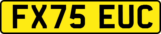 FX75EUC