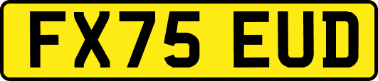 FX75EUD