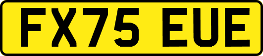 FX75EUE