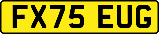 FX75EUG