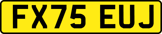 FX75EUJ