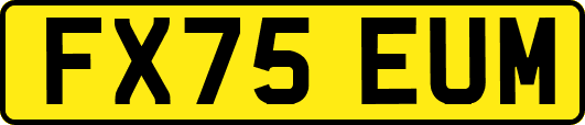 FX75EUM