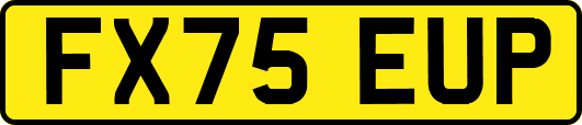 FX75EUP