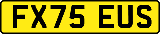 FX75EUS