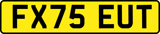 FX75EUT