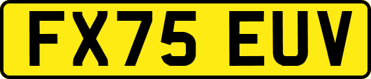 FX75EUV