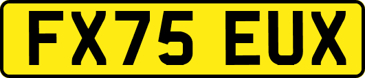FX75EUX