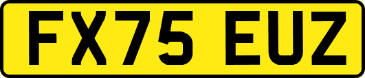 FX75EUZ