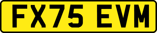 FX75EVM