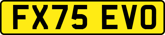 FX75EVO