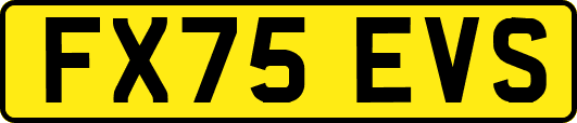 FX75EVS