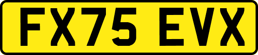 FX75EVX