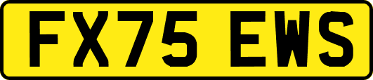 FX75EWS
