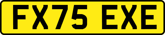 FX75EXE