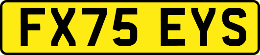 FX75EYS