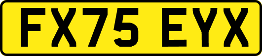 FX75EYX