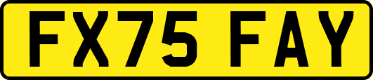 FX75FAY