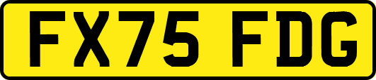 FX75FDG