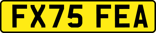 FX75FEA