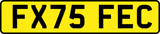 FX75FEC