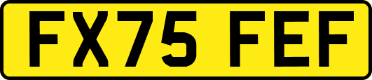 FX75FEF