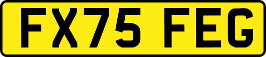 FX75FEG