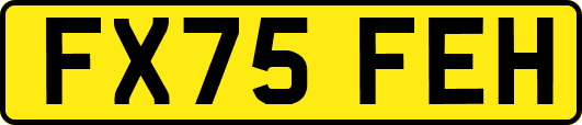 FX75FEH