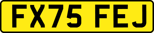 FX75FEJ